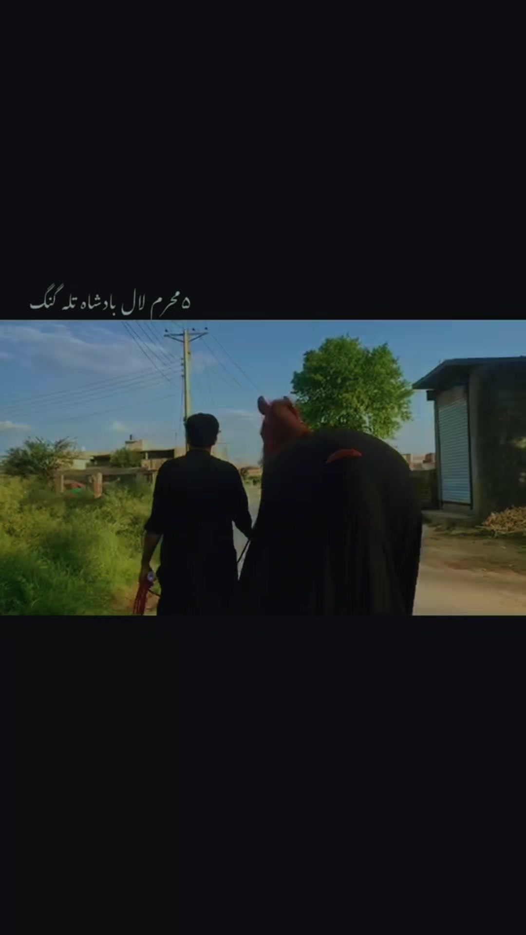 @مرکزی ذوالجناح تلہ گنگ