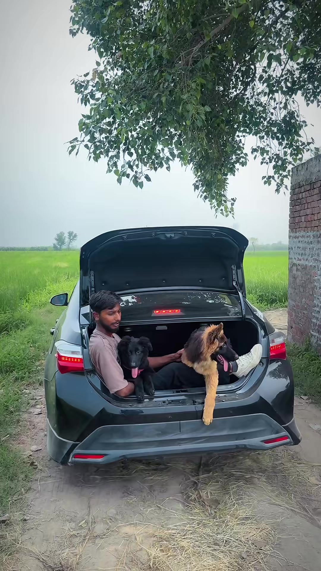 @Malik Dani
