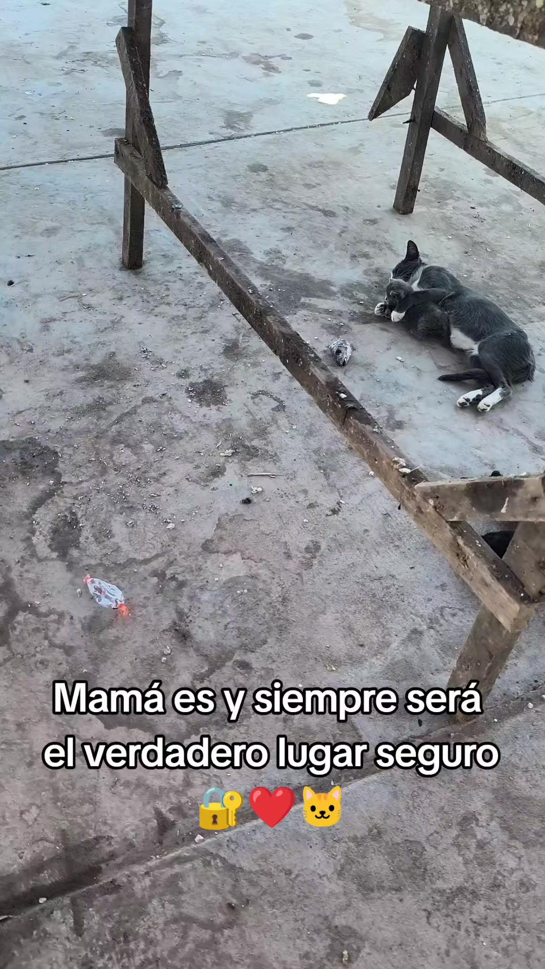 @Alondra Reyes 🫀