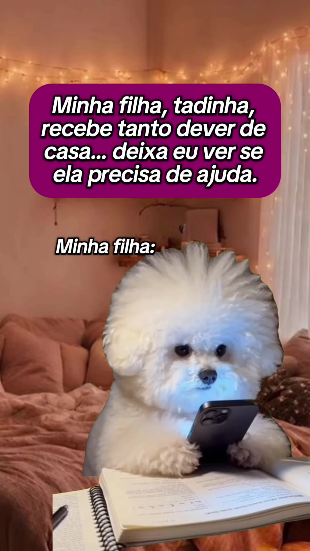 @tababadeira