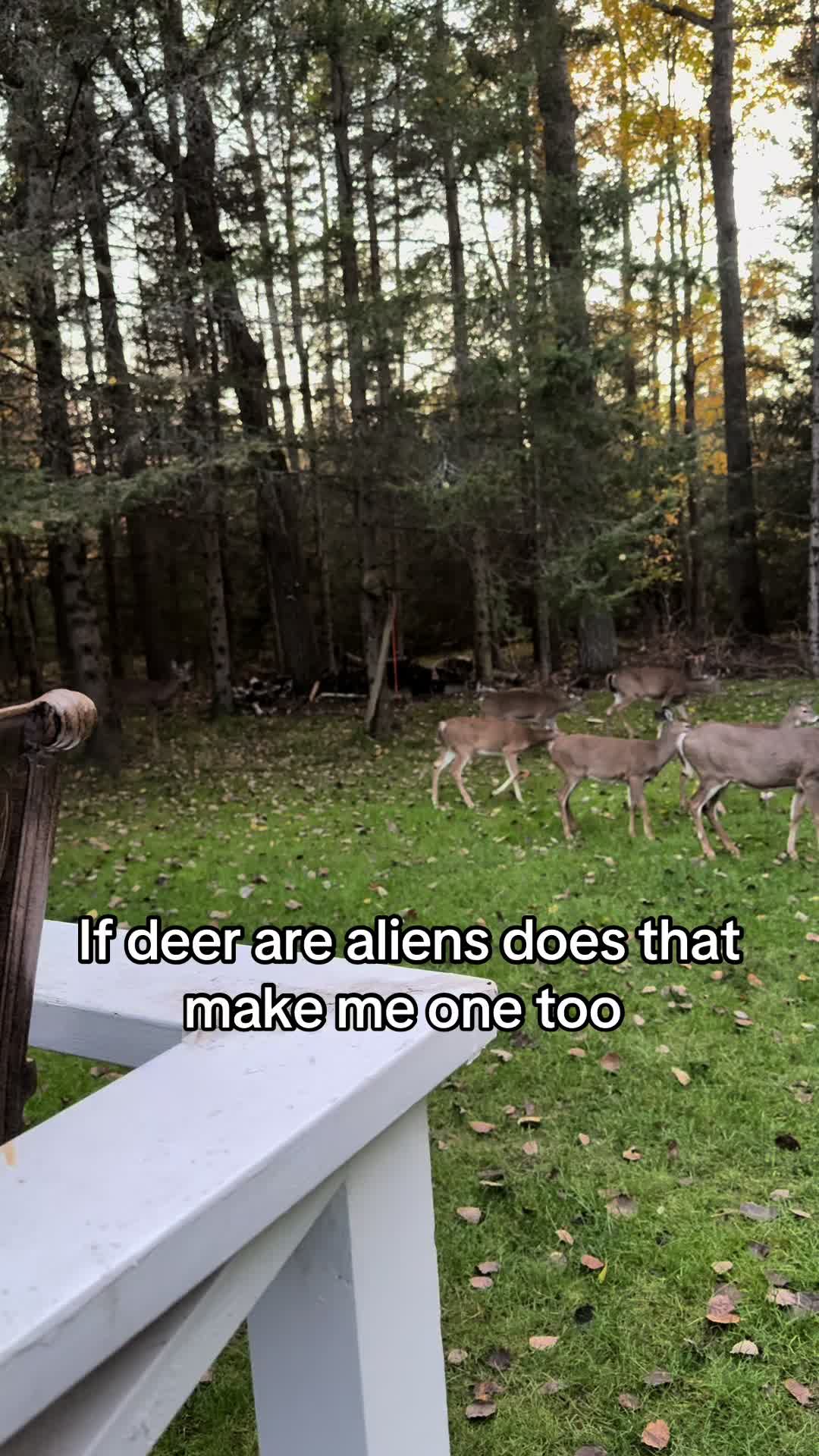 @No