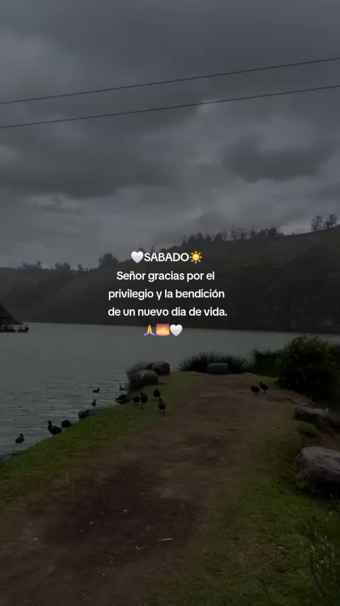@Wlady SL