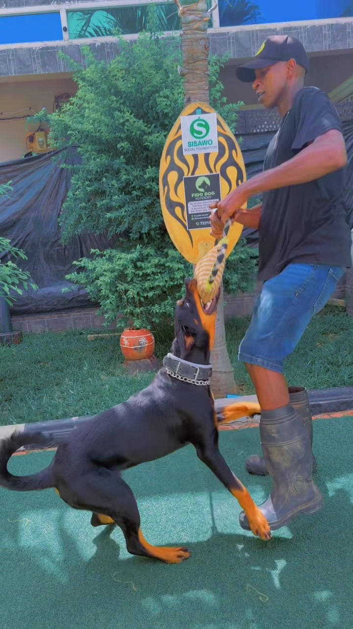@Dog Master