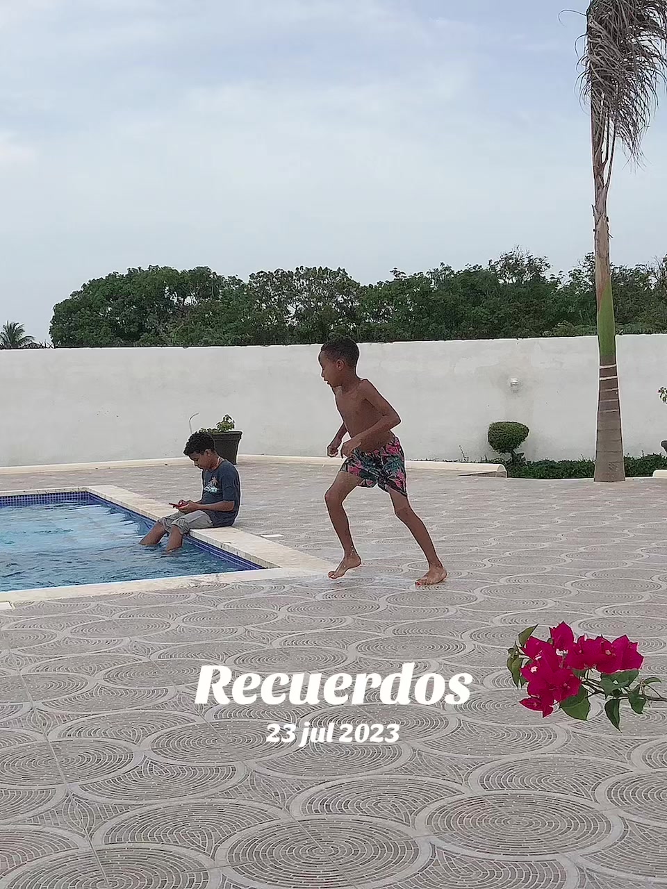 @Silvana Rosario