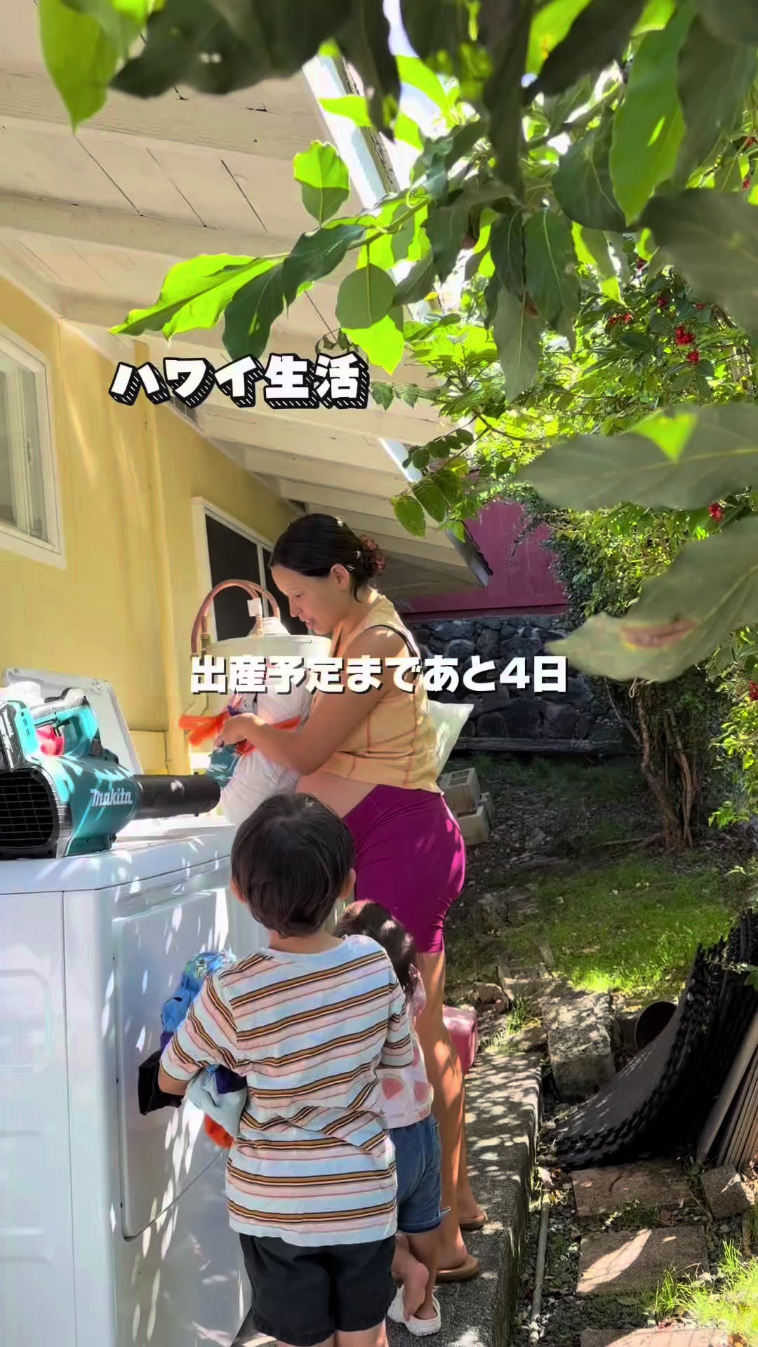 @キムラファミリー