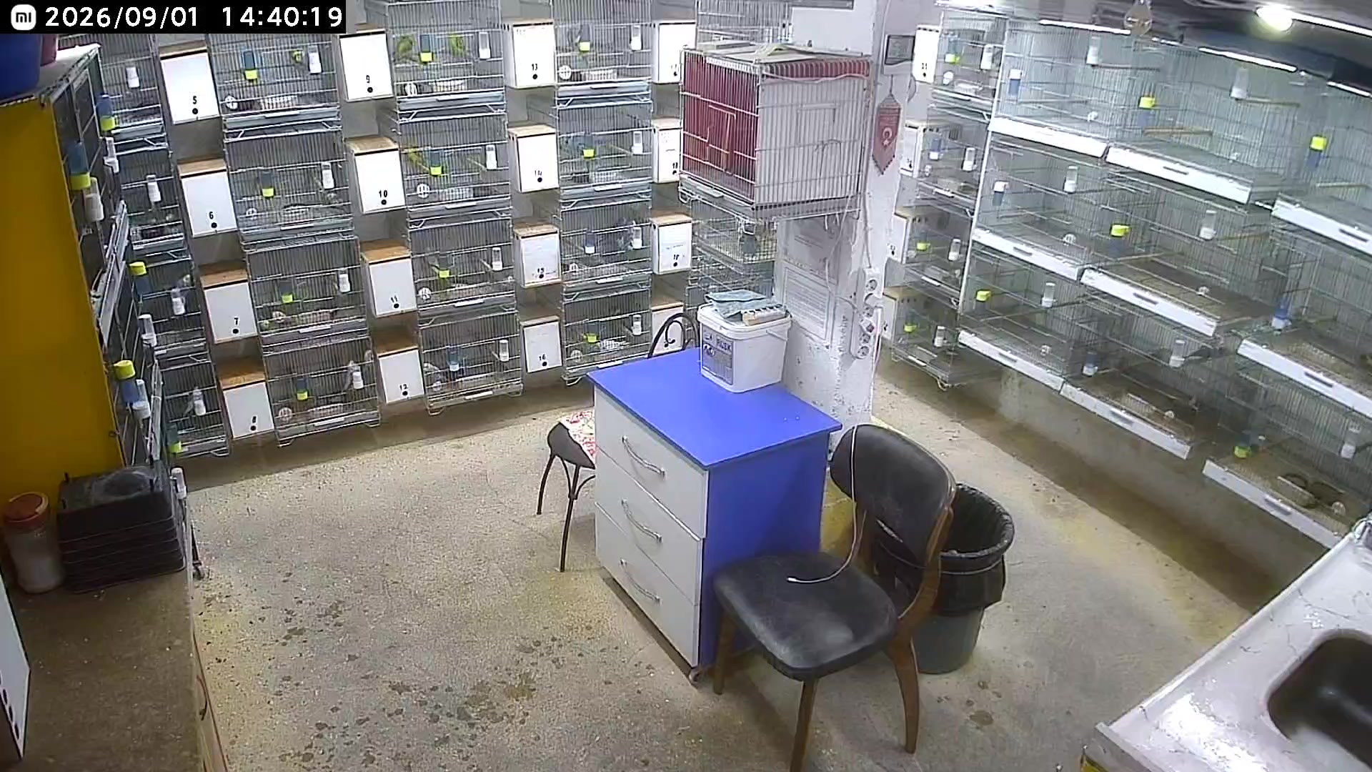 @MURAT ADIGÜZEL