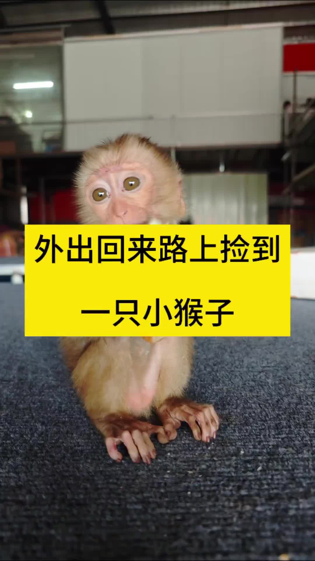 @影视剧无霸