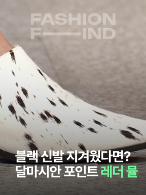@패션의 발견