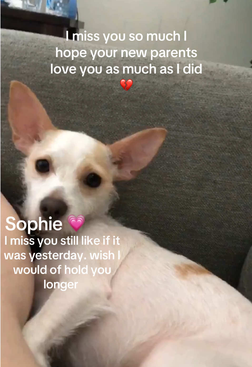 @S🧚✨
