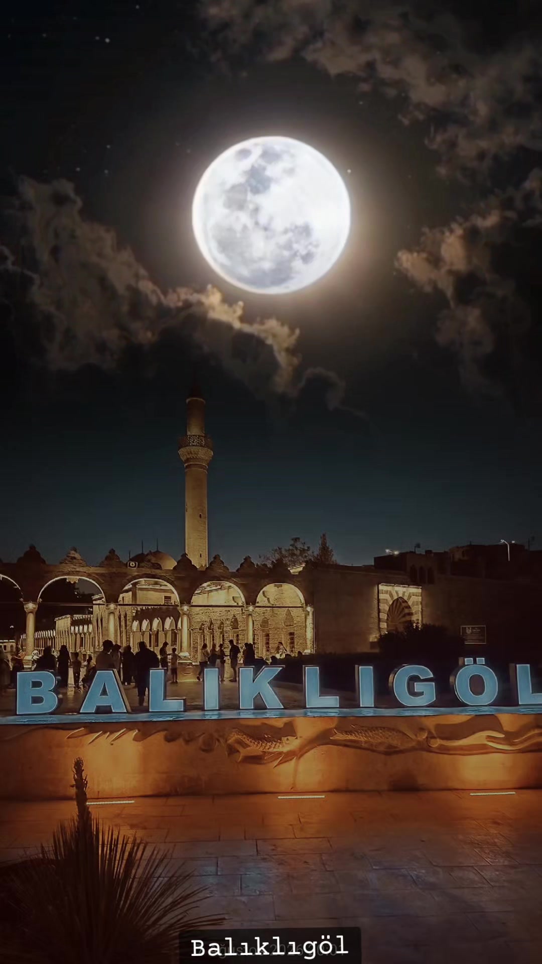 @HALİL DAVŞAN