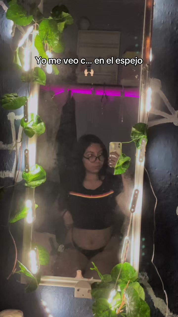 @vane_modell