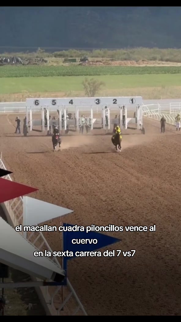 @carriles altos de jalisco🐎