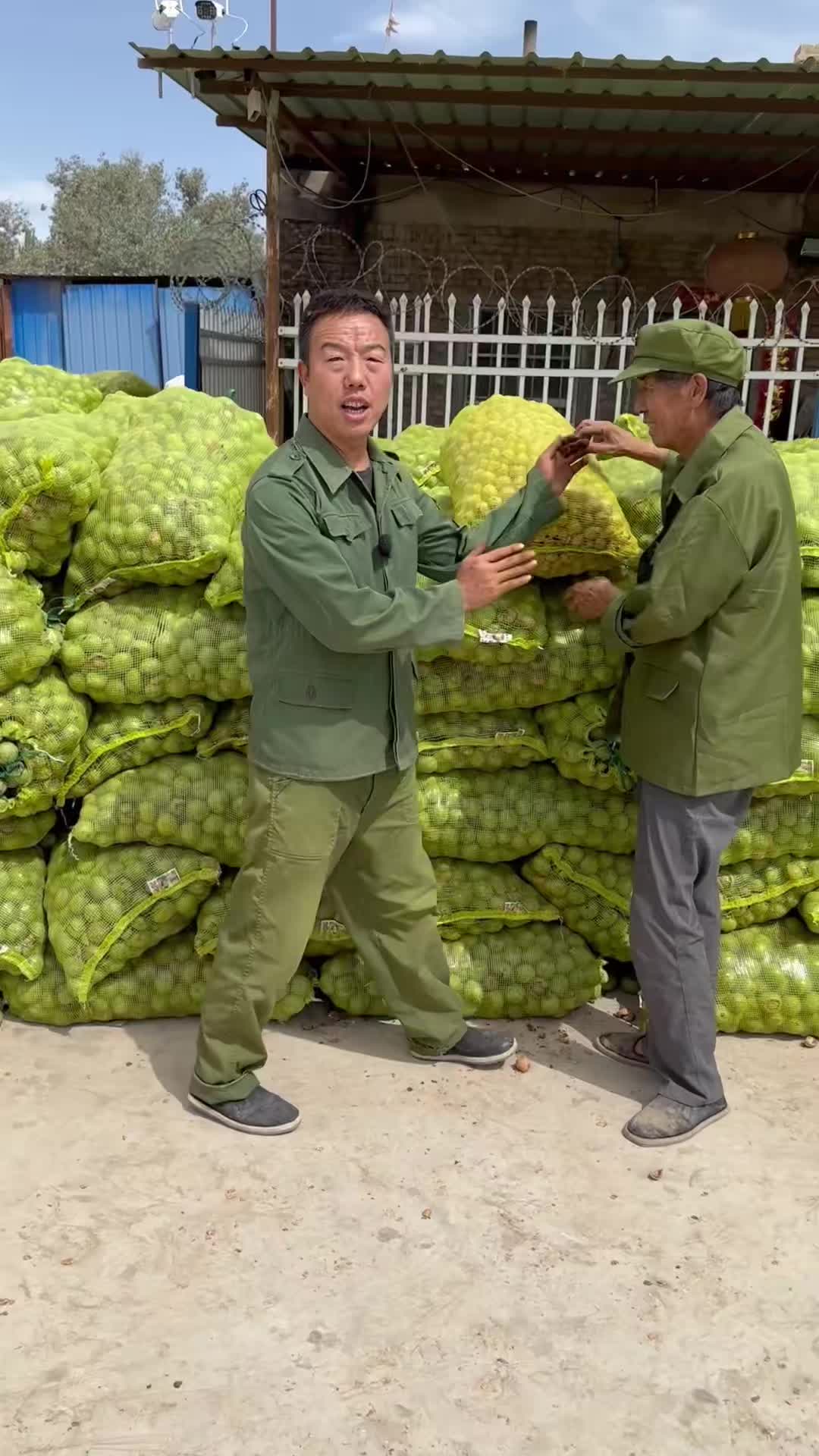 @疆果果新疆特产