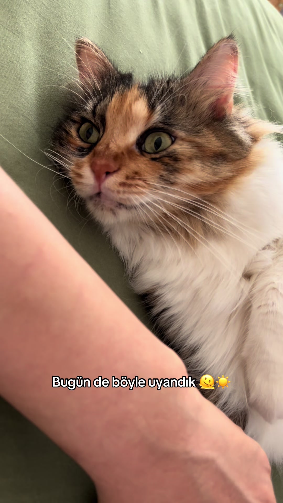 @konusankediminnos
