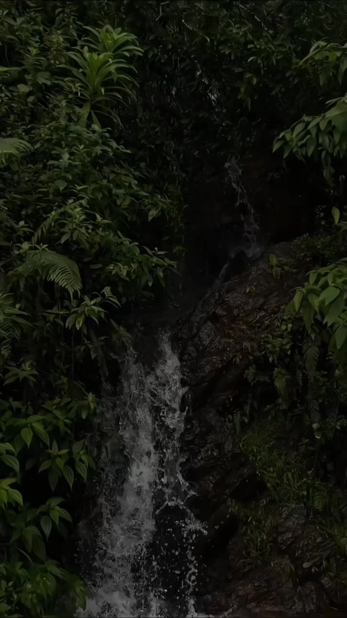 @B7F乛حسيب