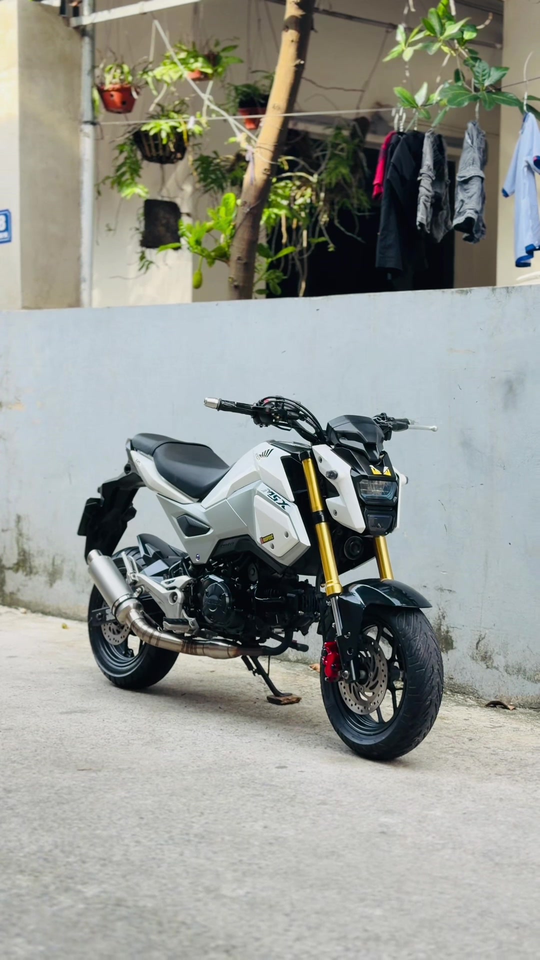 @kiên motor ( Hà Nội ) ✅