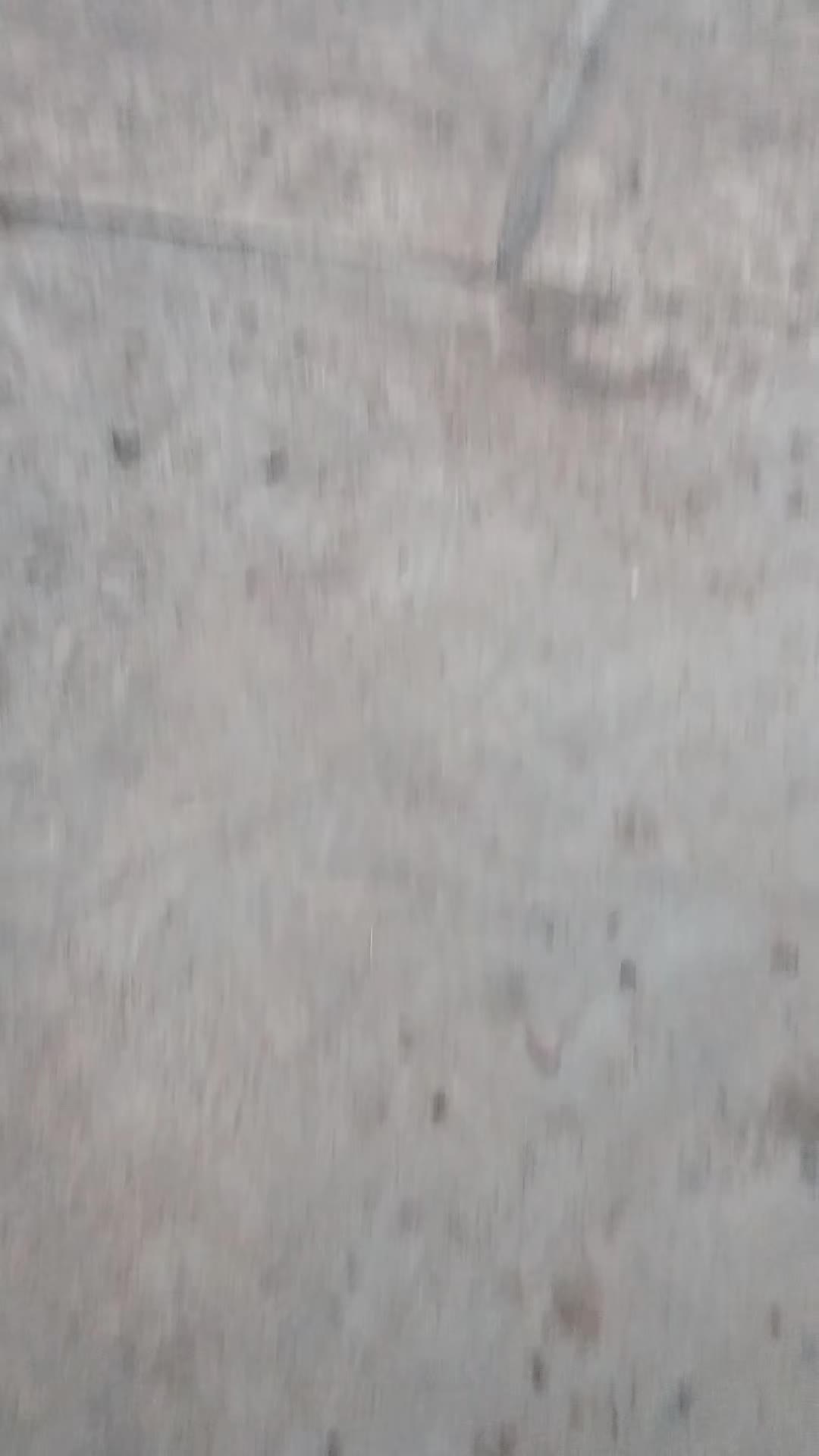 @Junaidi Sindora