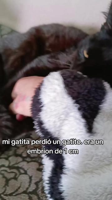 @CECILIA🎀CORBO🎀