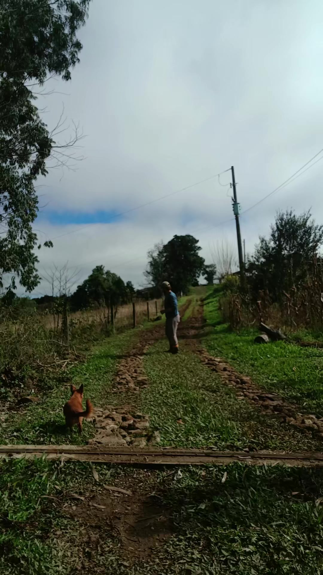 @JulianoGarzão