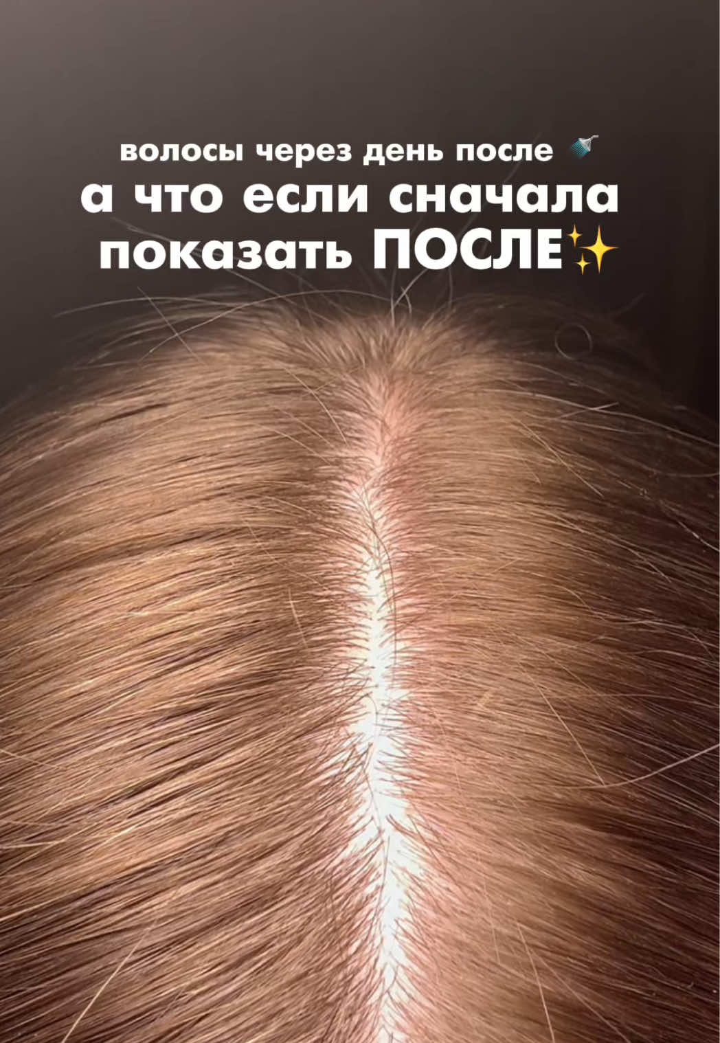 @primegirls_1