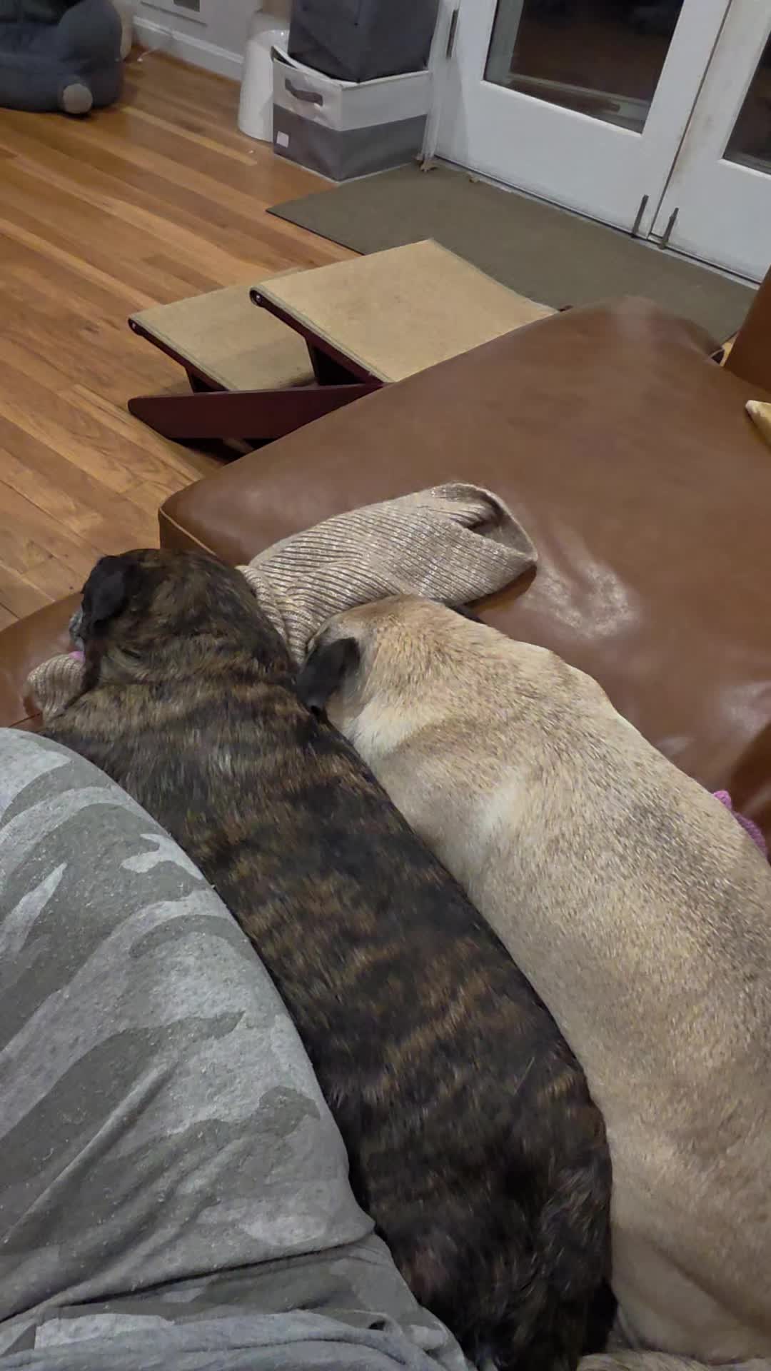 @Bah Humpug