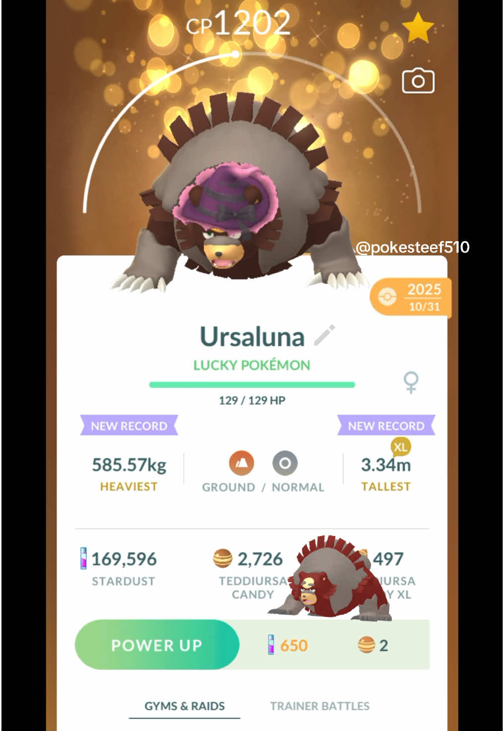 @PokeSteef510
