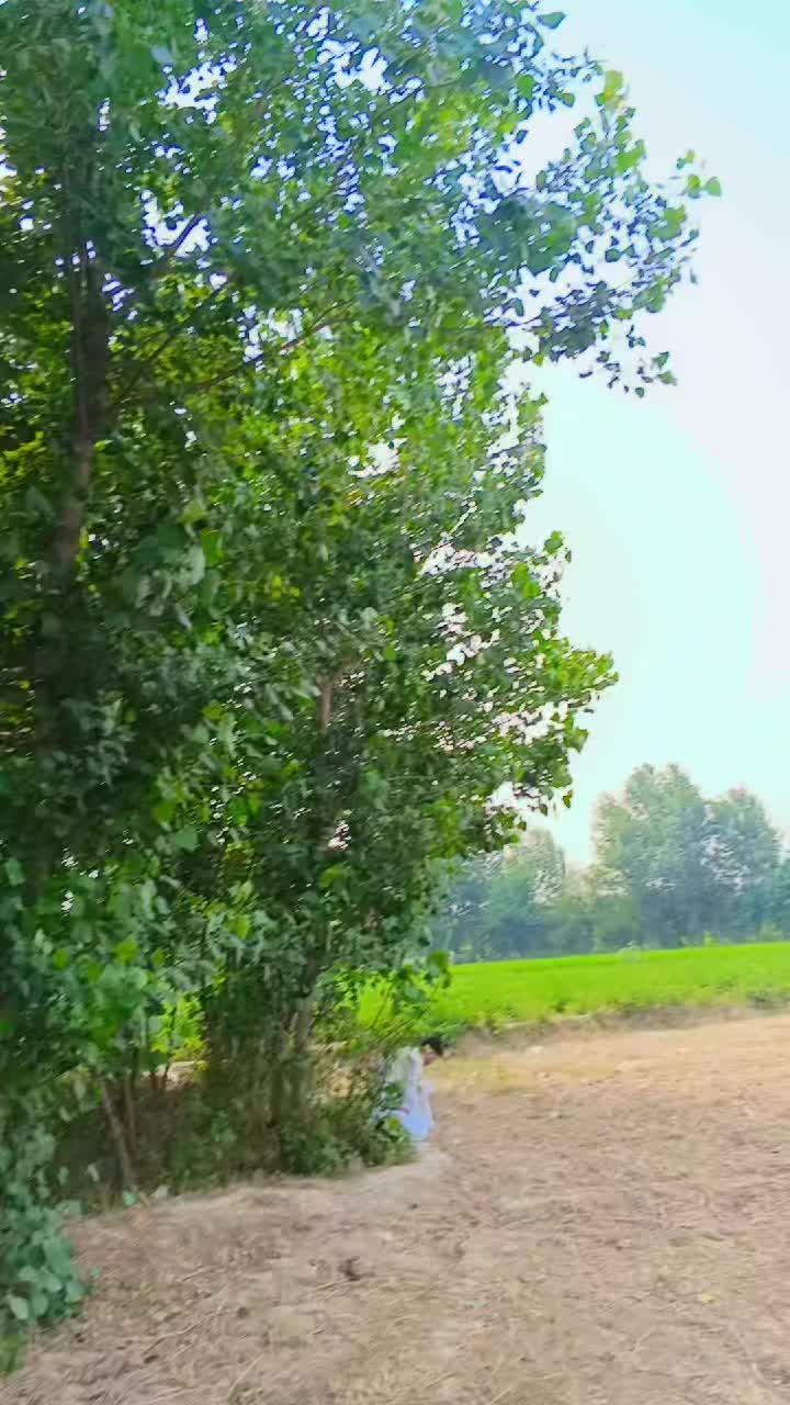 @Wali khan 786