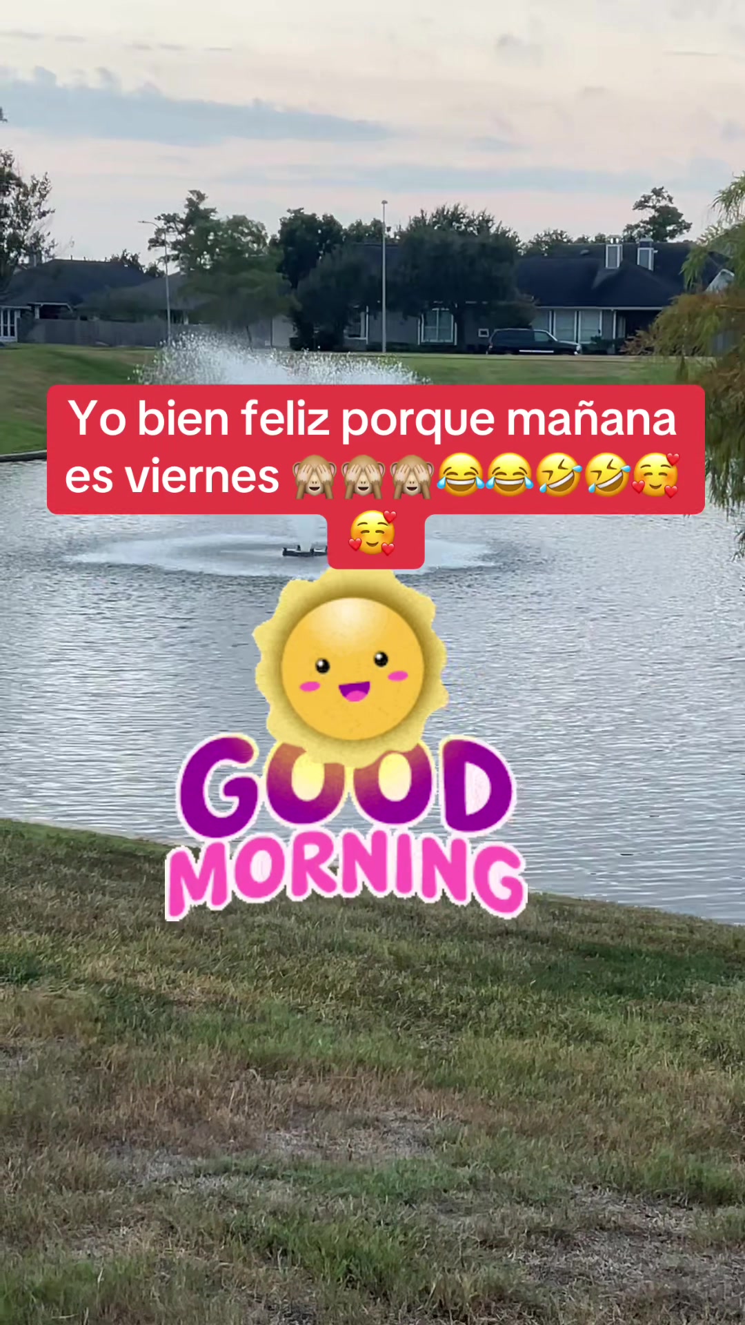 @Mariposita