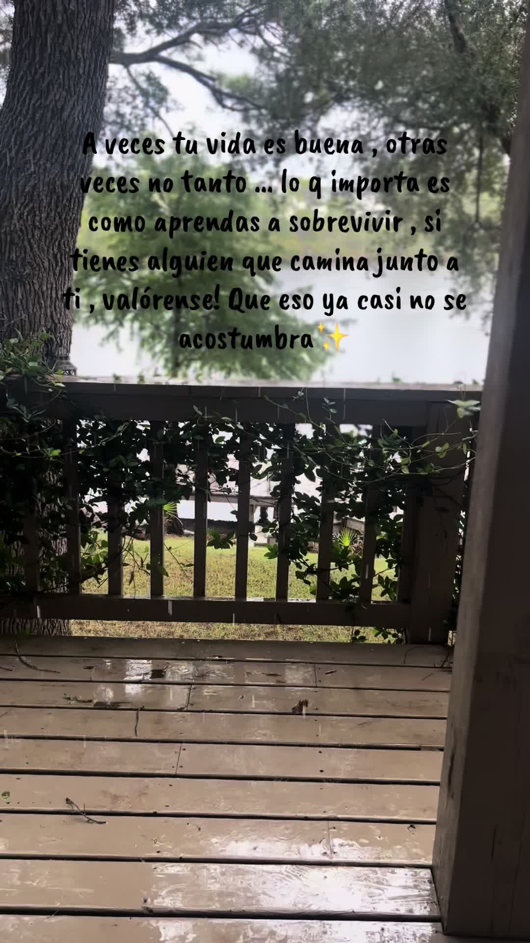 @ChofiAV