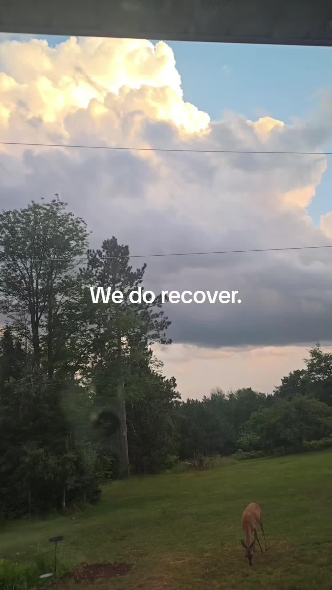@KP 🌻