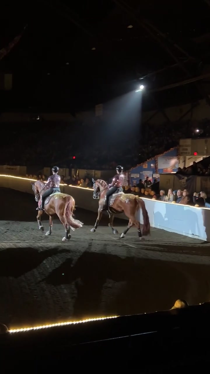 @horseshowqueen89