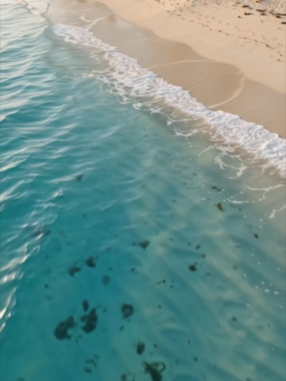 @FijiEco 🇫🇯