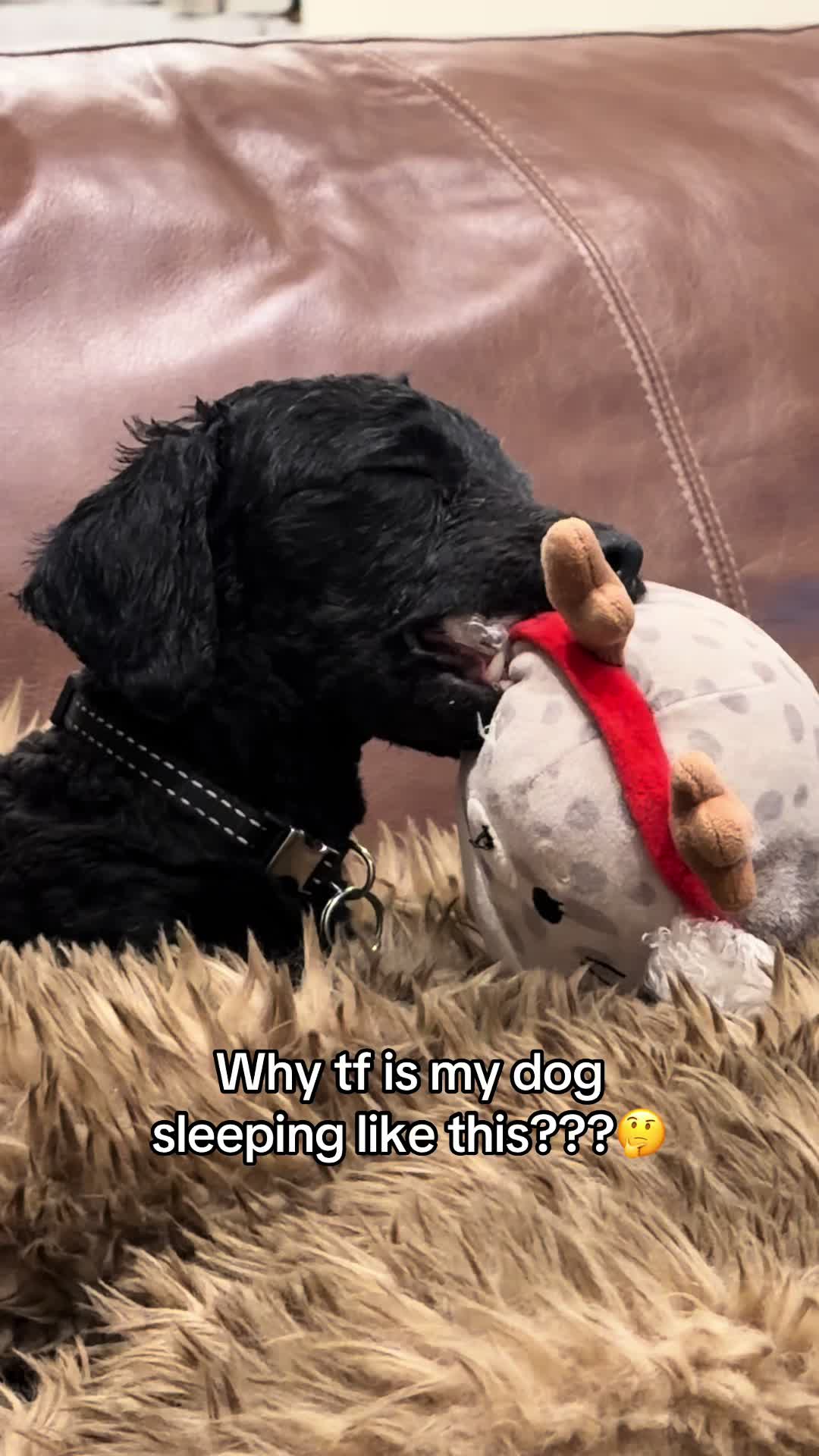 @cozypouch