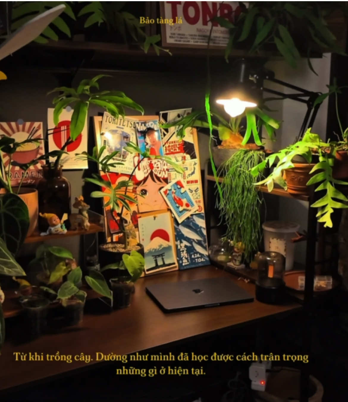 @Bảo t&agrave;ng L&aacute;