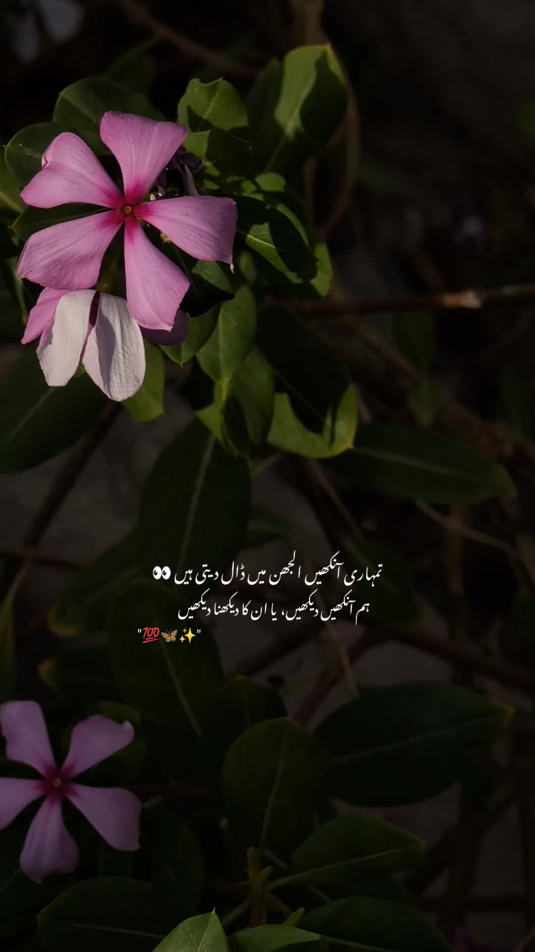 @ــــہہـ٨ــ&hearts;️ـــہہـ٨ـ