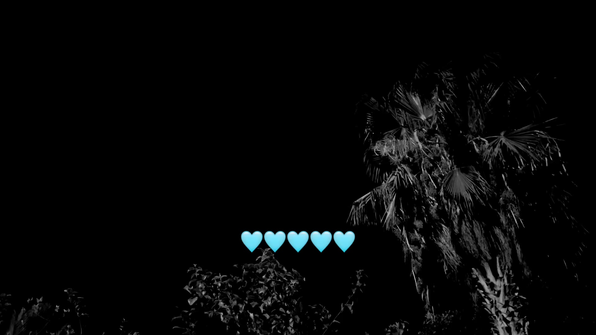 @قلب مطمئن🌿🕊️