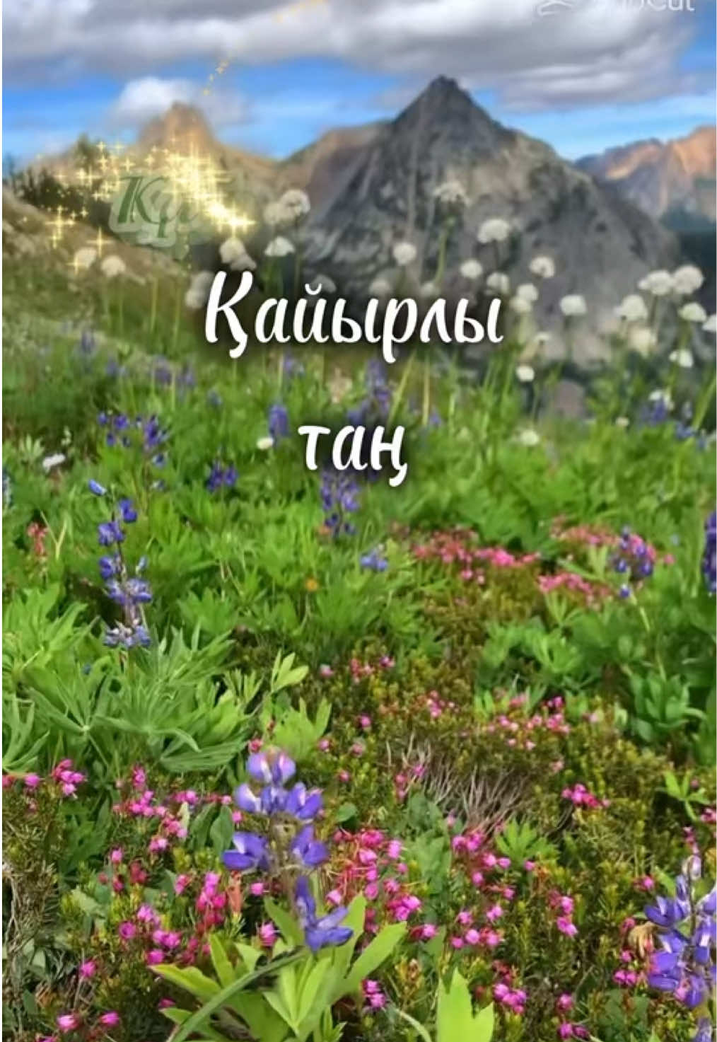 @aray_dinasil