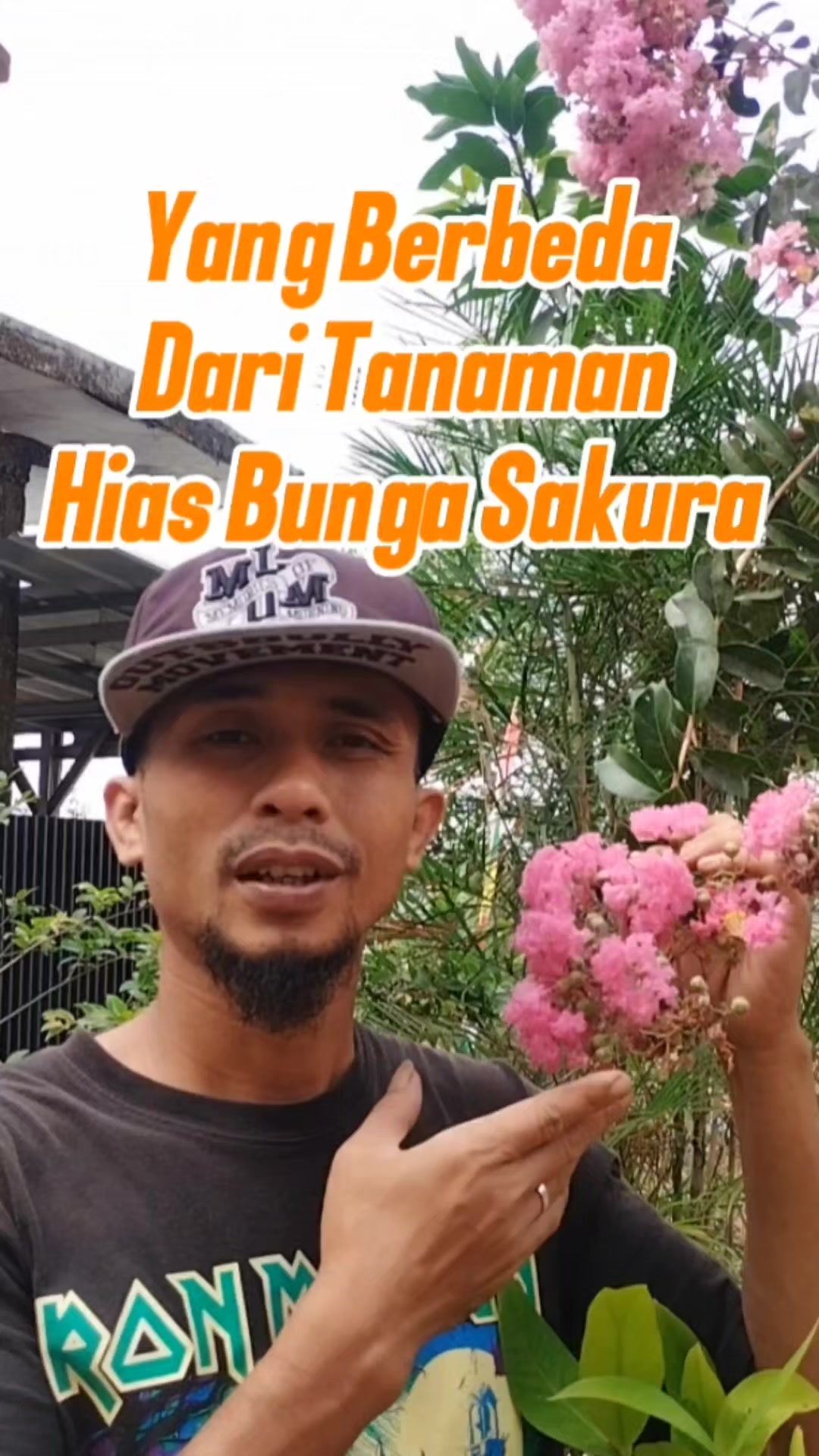 @Bukit Farming