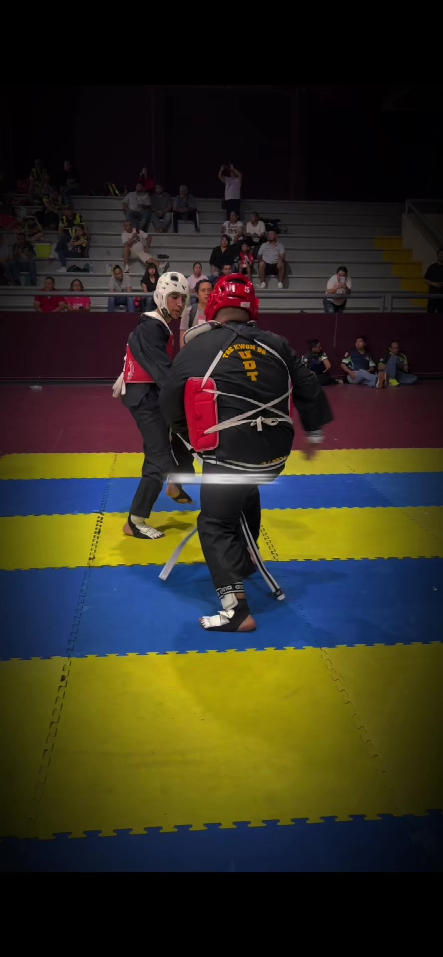@taekwondolionsteam