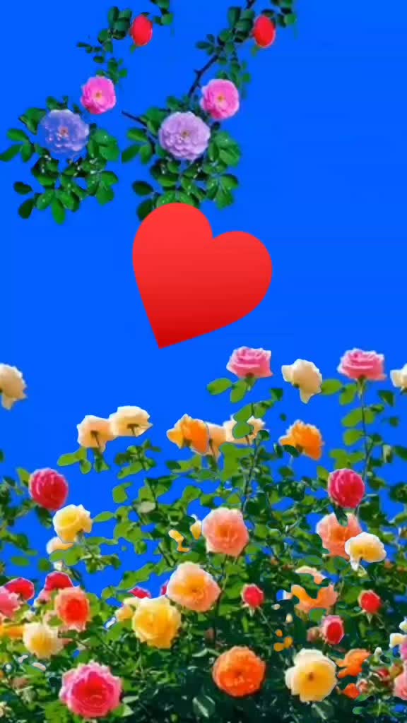@ኢያሱ ዋደጶ