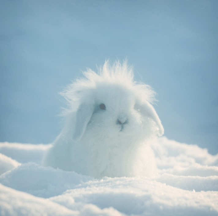 @𝙎𝙤𝙧𝙖 .ᐟ