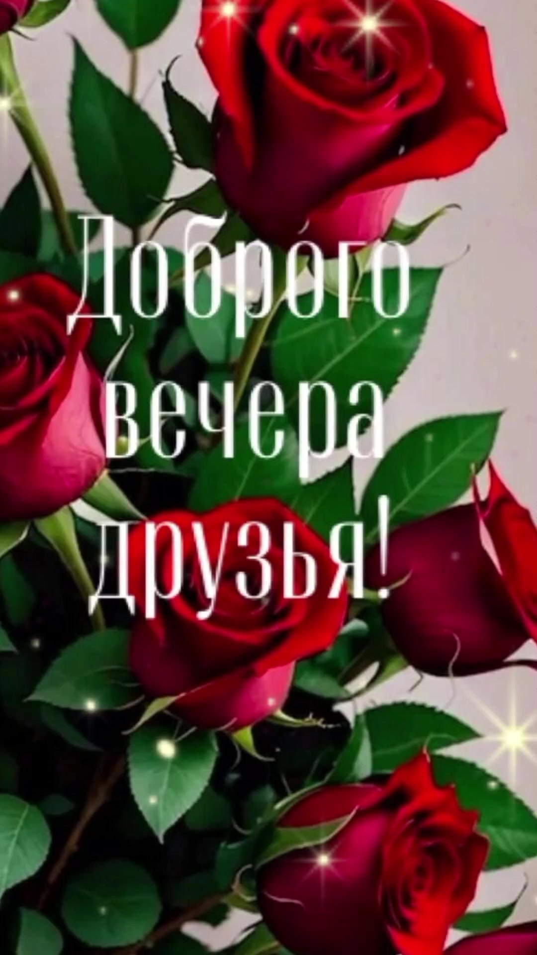 @Ludmila-lips