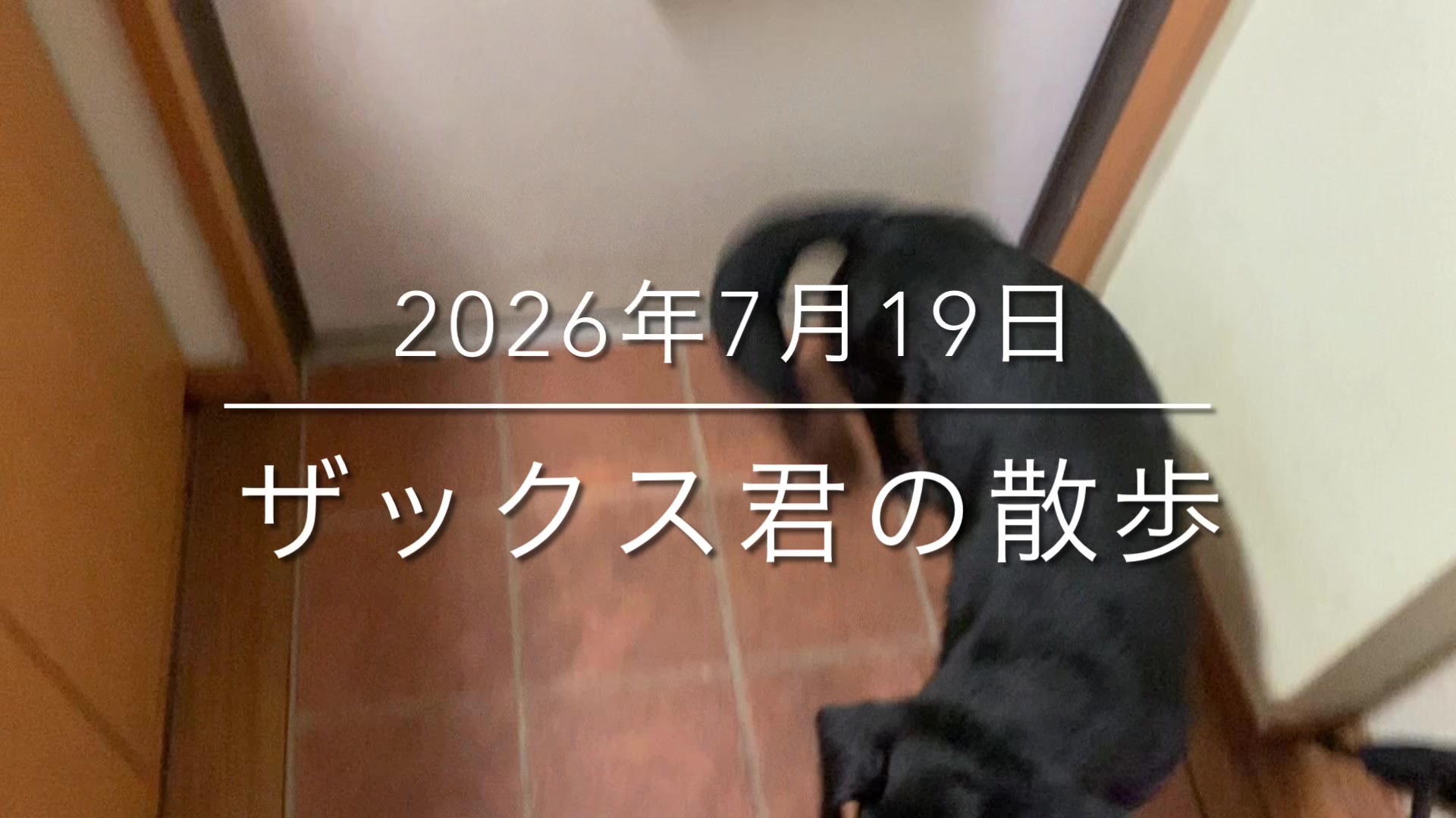 @sakihaman