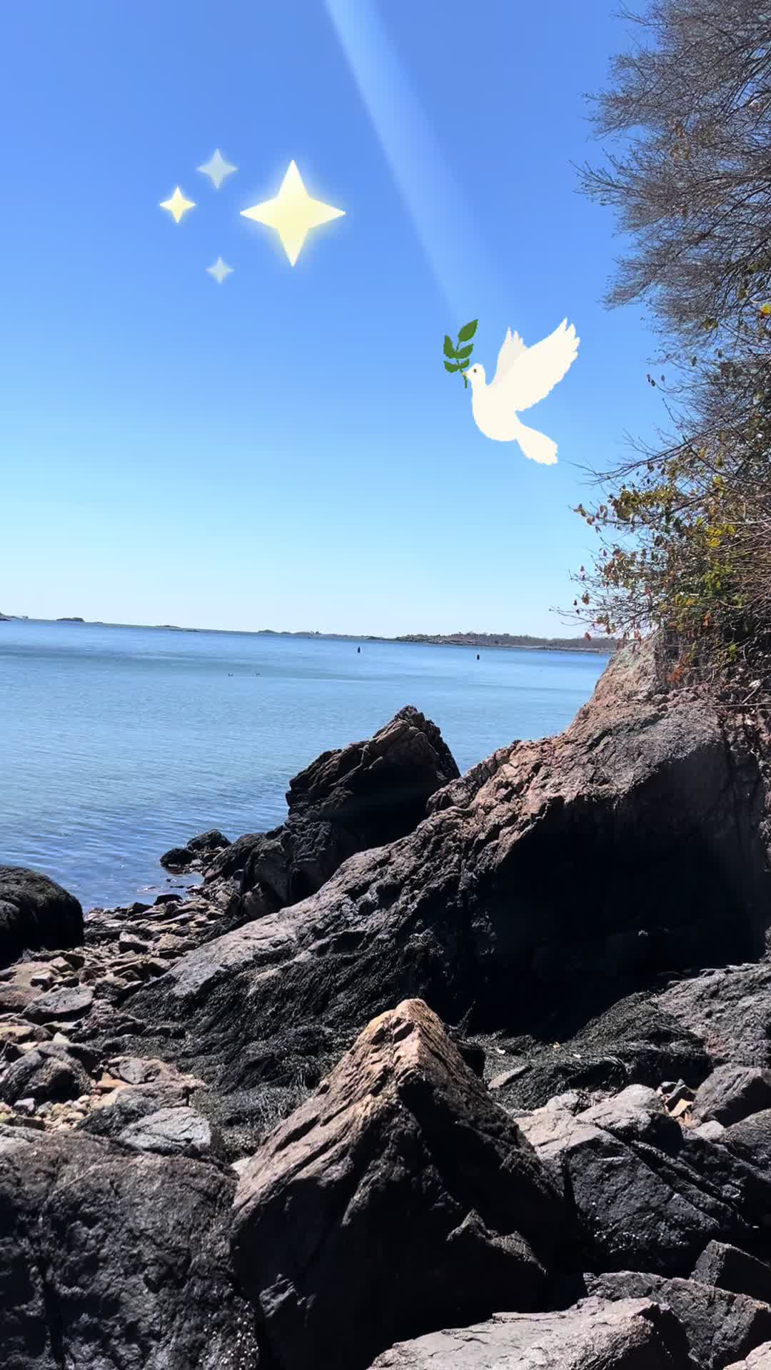 @🍀Armandocoronado🐈🇬🇹🦜