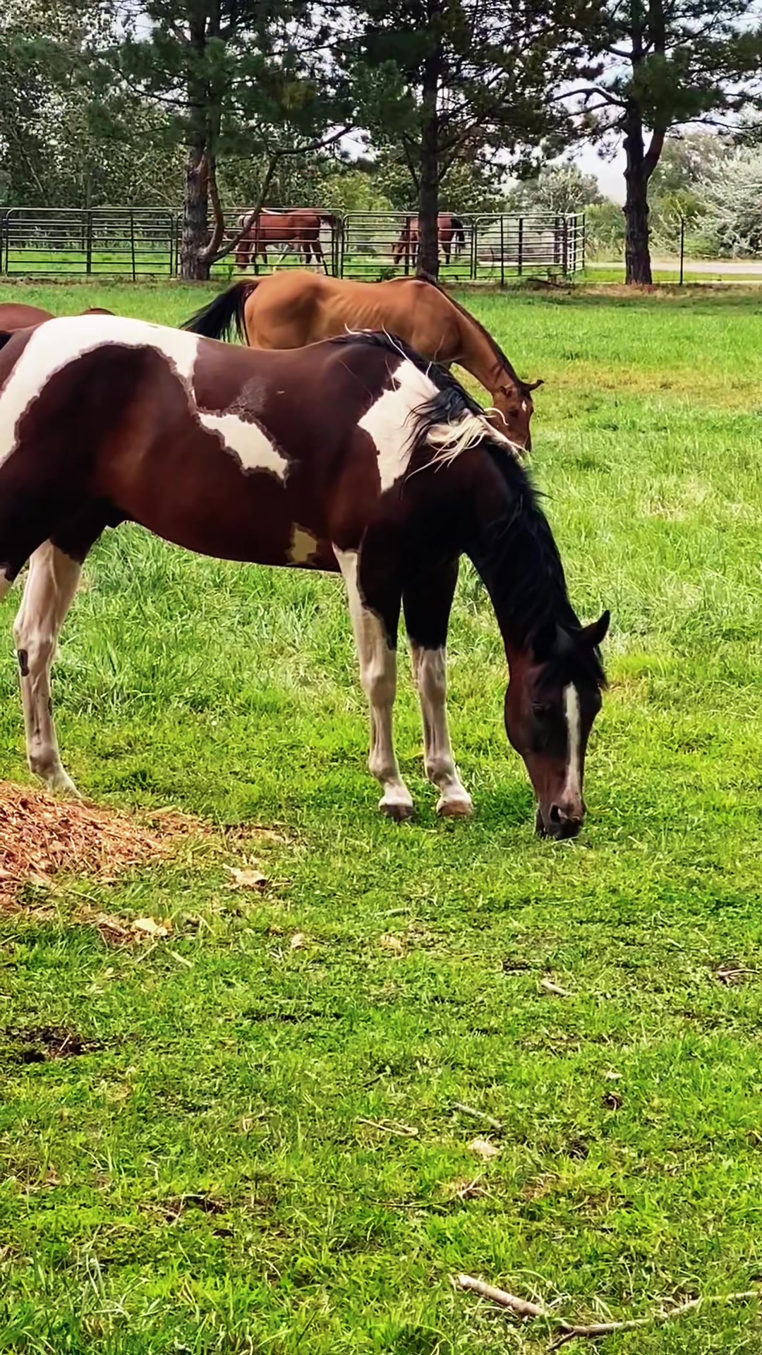 @Hartfield Homestead