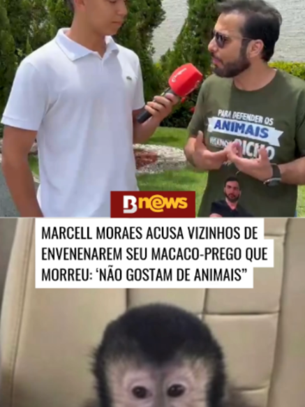 @BNews - Portal de not&iacute;cias