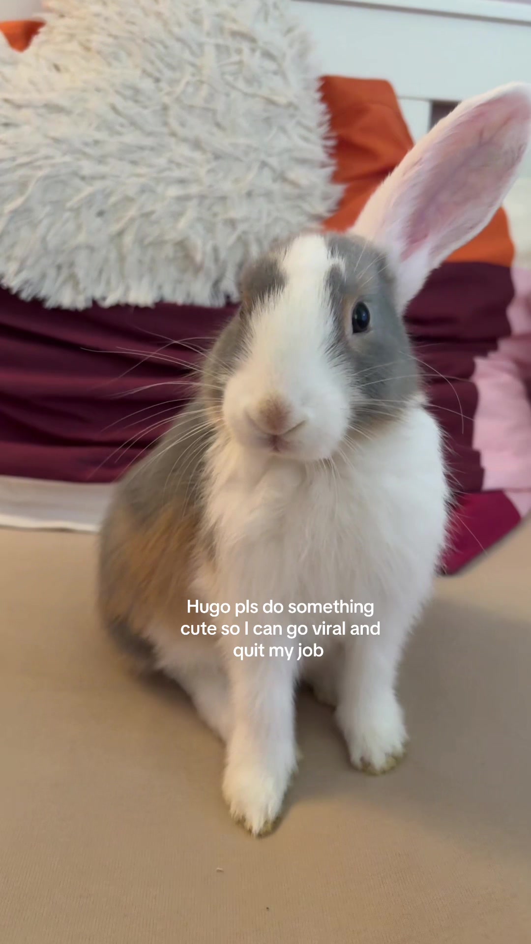 @𝘦𝘮𝘮𝘢♡︎🦄