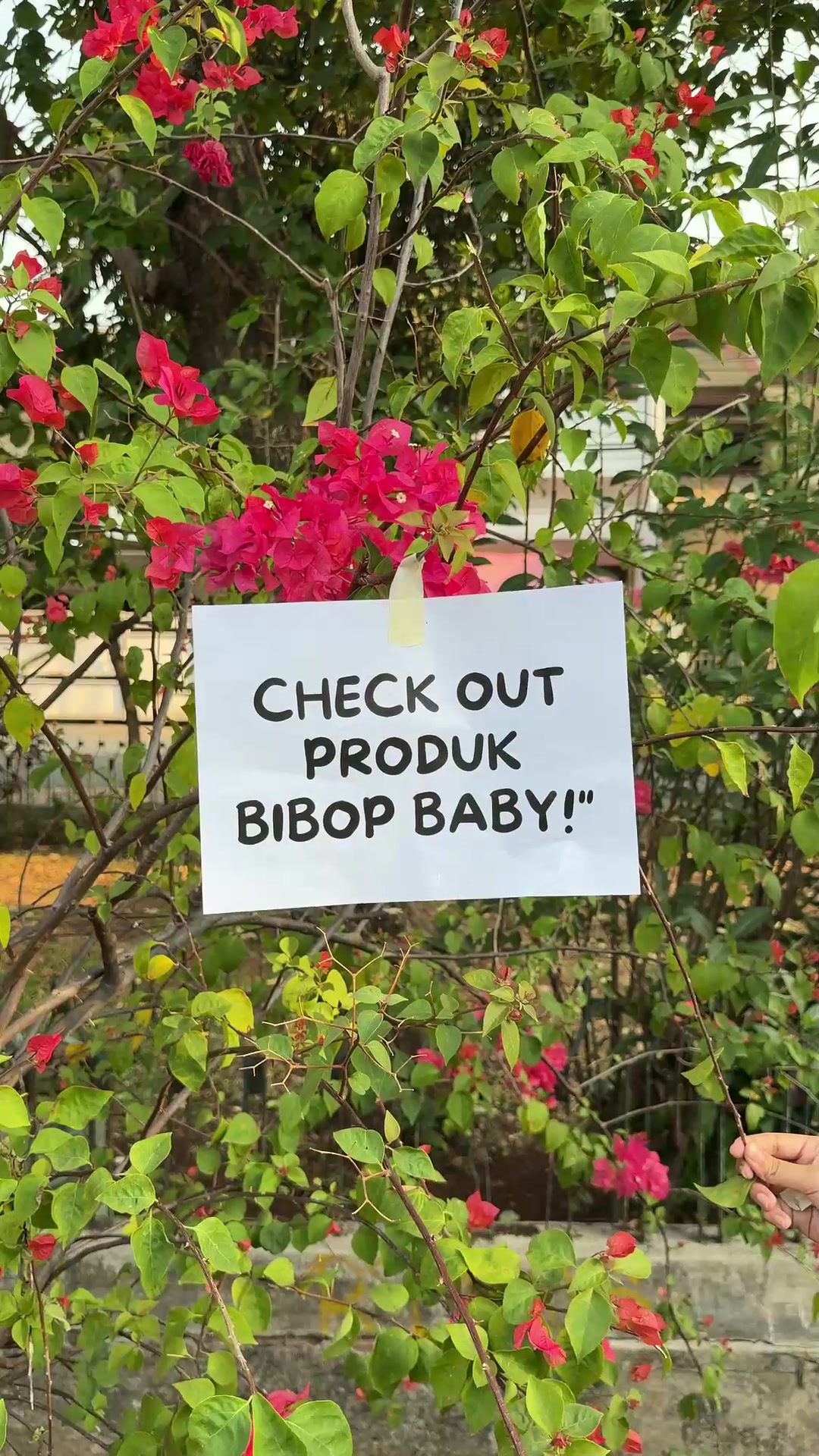 @Bibop Baby