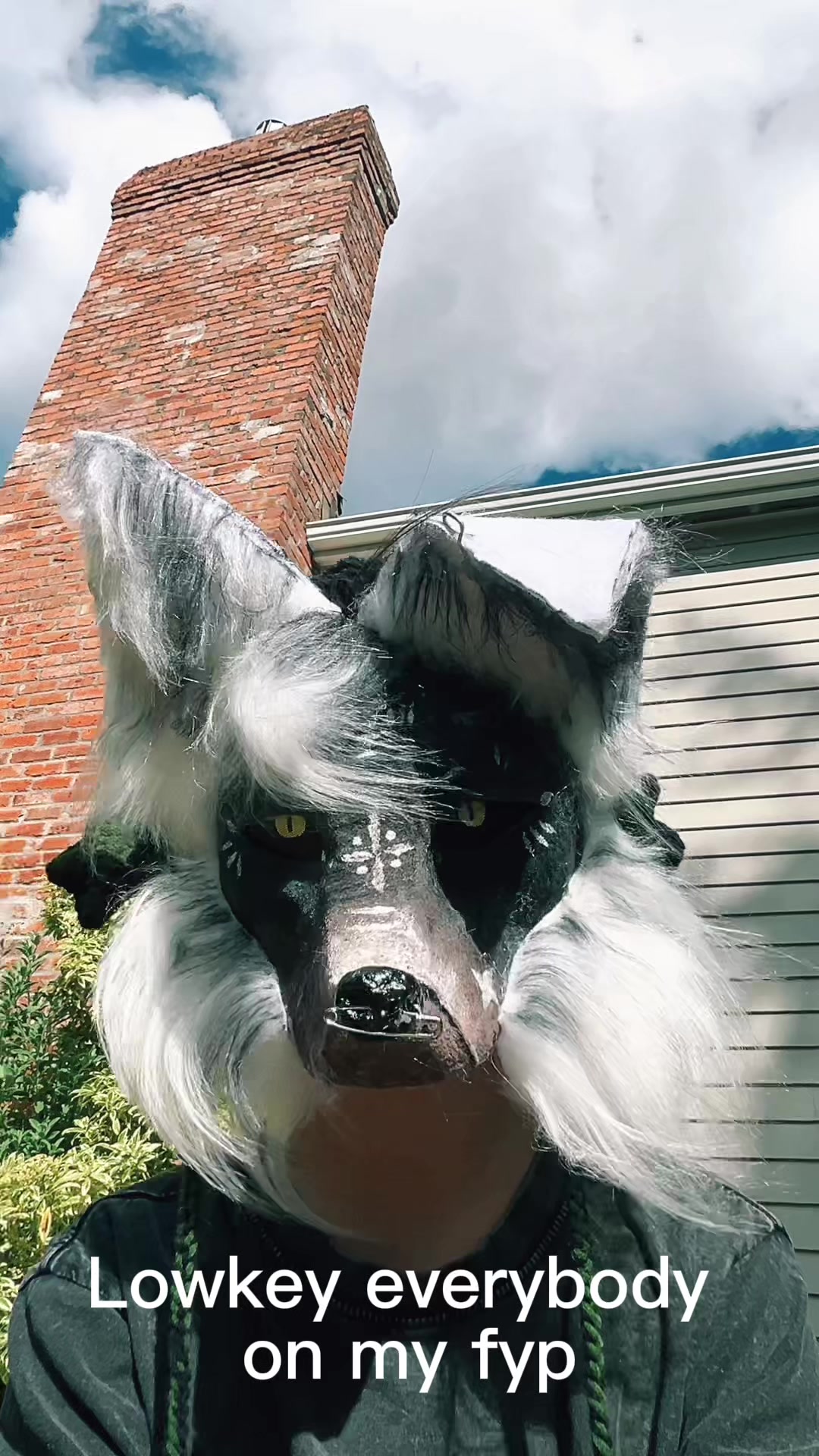 @Floyd._.paws
