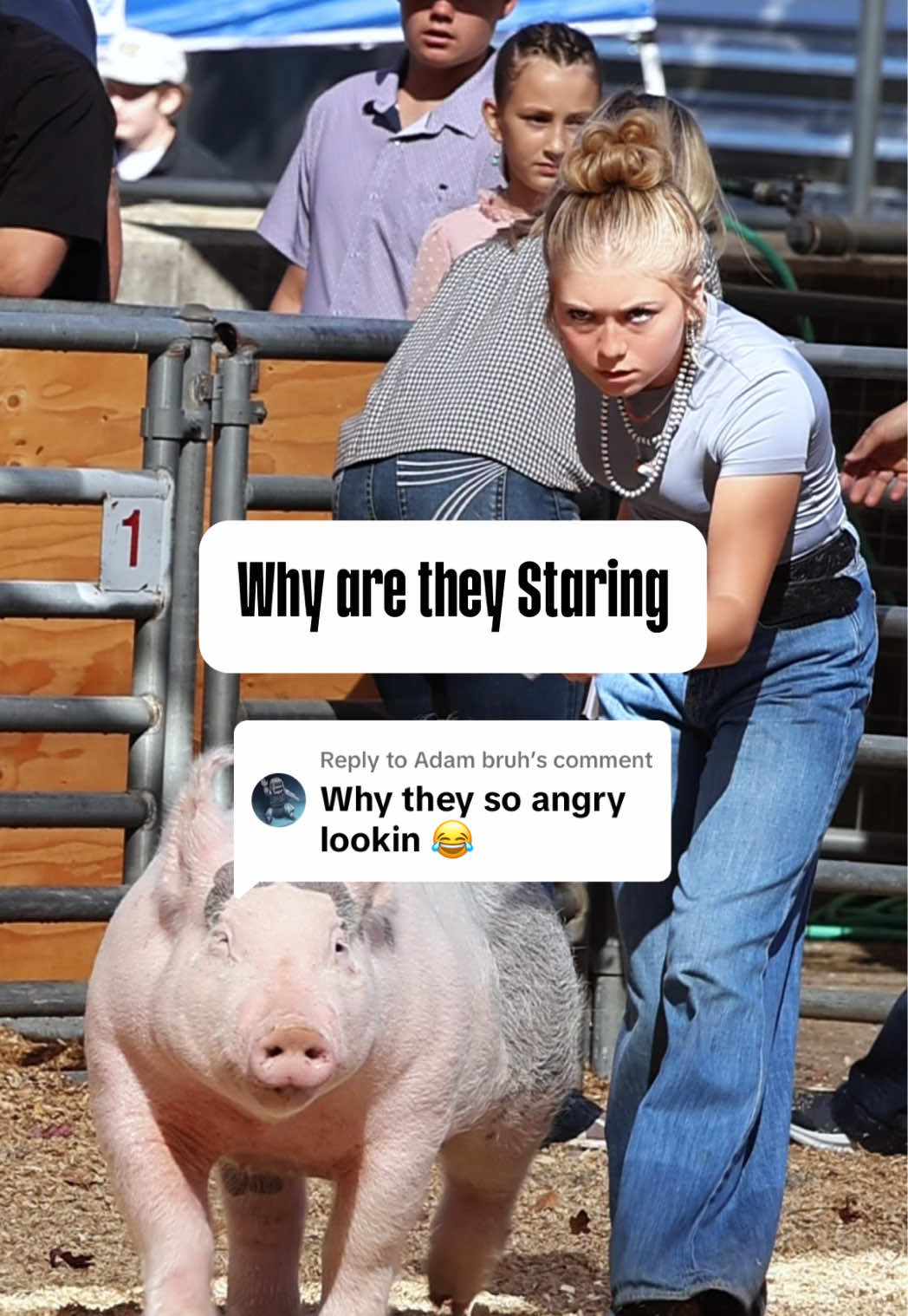 @Dadson Farms